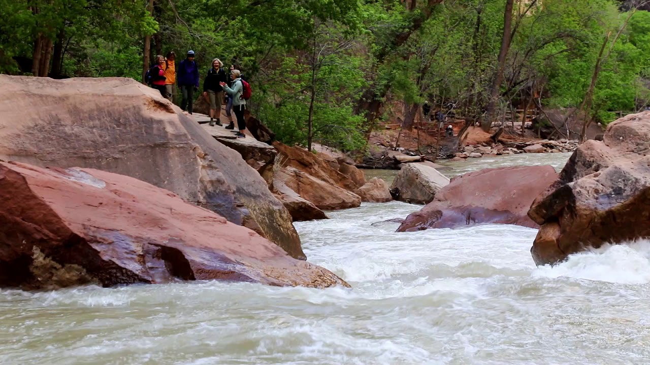 Adventure Women - Zion Ponderosa - Utah - May 2019