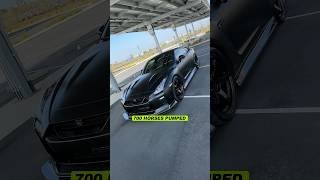 Check out this 700+HP Black on Black Monster which is the official #TCG54 #GTR #TUNERCULT