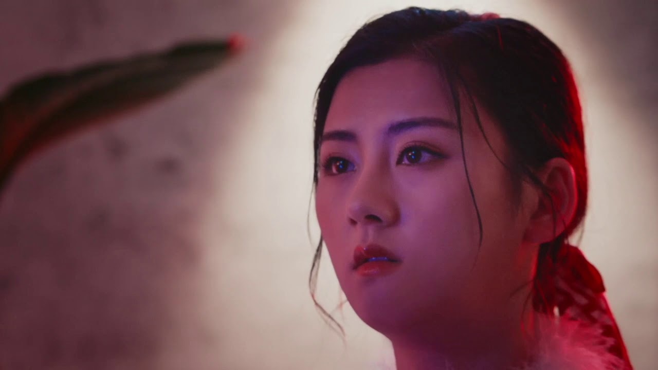 Spot | Budweiser | Unleash Your Party Animal | Disco Wolf