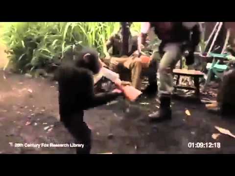 Download Małpa strzela z AK-47 do żołnierza
