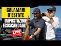 Pesca al Calamaro in Estate 🎣 Tecniche, Orari ed Ecoscandaglio | LIVE con Fabrizio Shirru