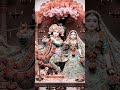 Radhe Radhe 💝 #viral #video