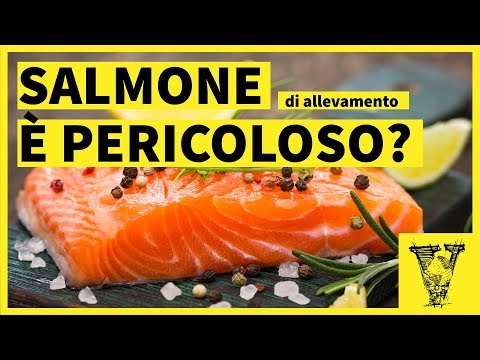 Video: Il salmone d'allevamento è ricco di mercurio?