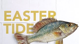 Eastertide: When the Risen Jesus Meets Your Doubt