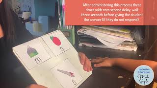 Implementing Time Delay to Teach Phoneme Sounds