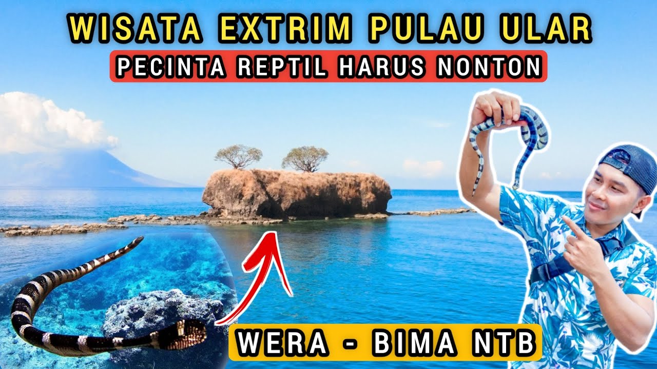 MISTERI KUTUKAN ULAR JINAK..!!! PULAU ULAR DI BIMA