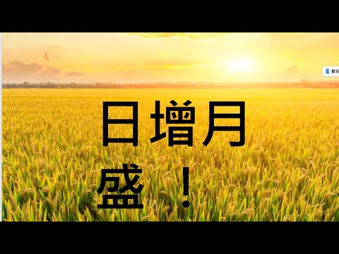 日增月盛