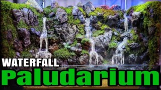 #346 Membuat paludarium dengan 3 air terjun