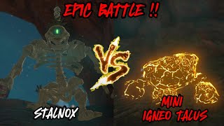 Stalnox Vs Mini Igneo Talus The Legend Of Zelda Tears Of The Kingdom