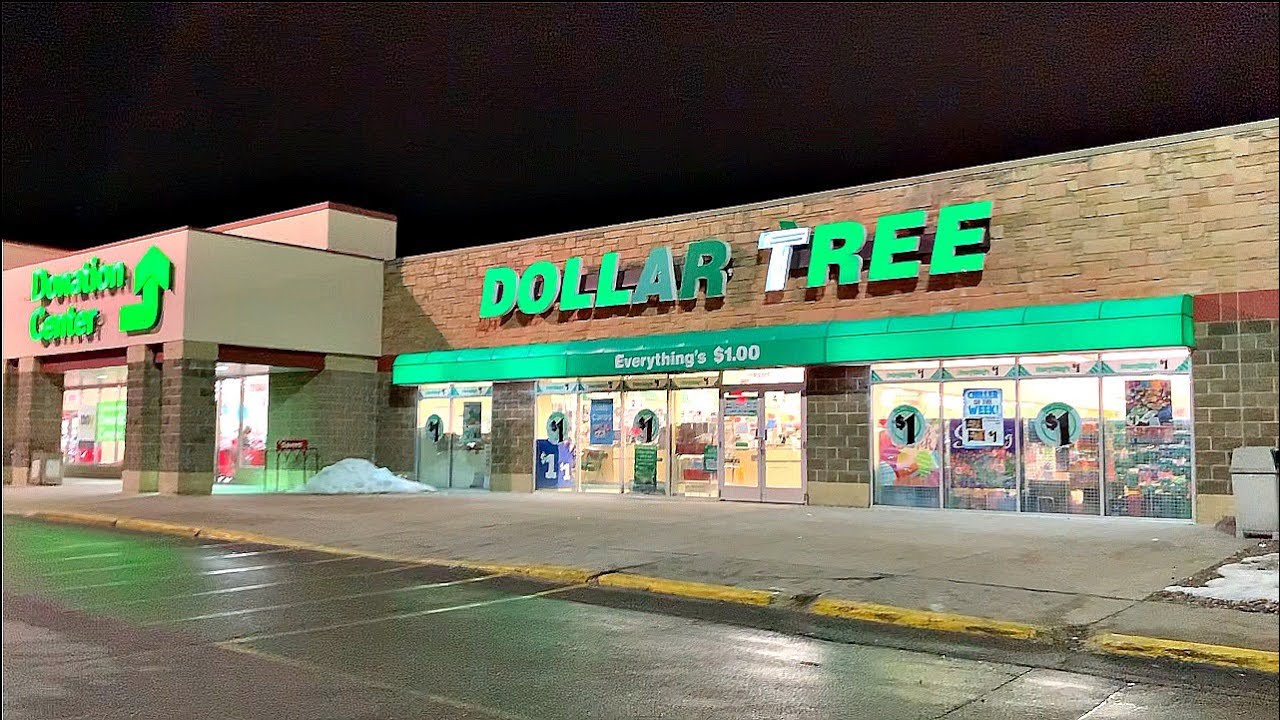 DOLLAR TREE SHOPPING *NEW FINDS* & NAME BRANDS FOR MARCH 2020!!!