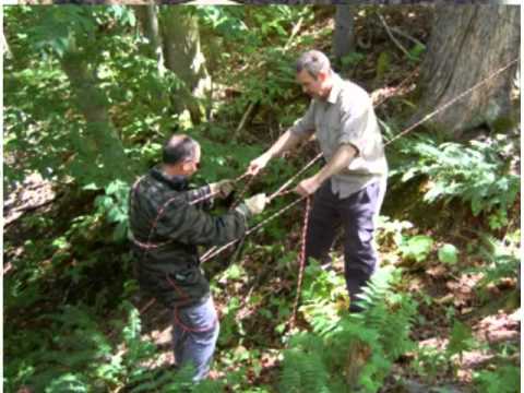 Family survival guide jason richardson