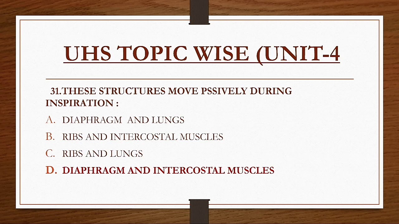 Biology MCQs Digestive System and Respiratory System MDCAT NUMS FMDC