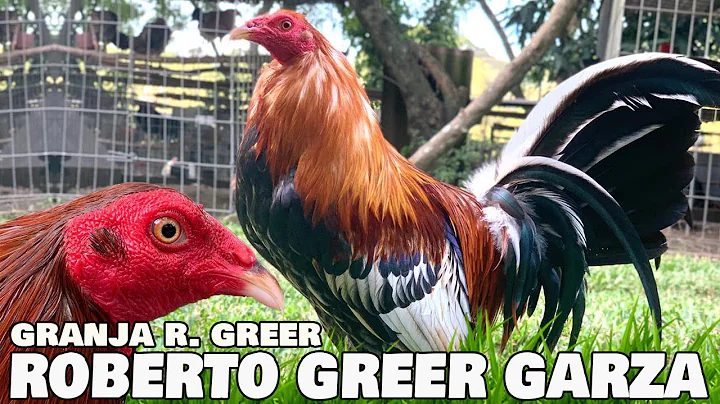 Granja R. Greer Roberto Greer Garza | Beautiful Bi...