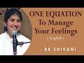 ONE EQUATION To Manage Your Feelings: Part 2: BK Shivani at San Francisco (English)