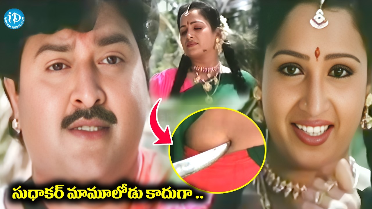 సుధాకర్ మామూలోడు కాదుగా .. Telugu Movie Super Hit sudhakar  Intrasting scene | iDream Adilabad