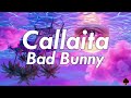 [10 Hours] - Callaita - Bad Bunny - Perfect Loop