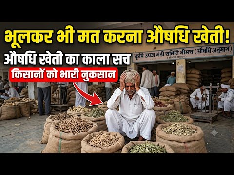 Don't Even Think About Medicinal Farming ❌🤯 || Aushadhi Mandi Neemuch || Ashish Dhakad || Neemuch...
