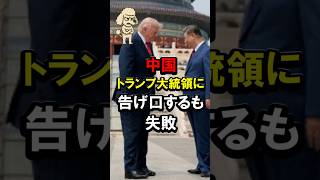 中国、トランプ大統領に告げ口するも失敗 #高市早苗 #高市総理 #習近平 #台湾 #頼清徳 のサムネイル