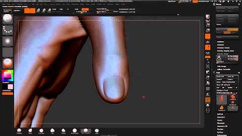 ZBrush tutorial: Anatomy 2 - Sculpting the masses, Part 1