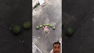 #watermelon #funny #experiment #memes #satisfying #crushingtime #funnymemes #comedy #vfx #balloon