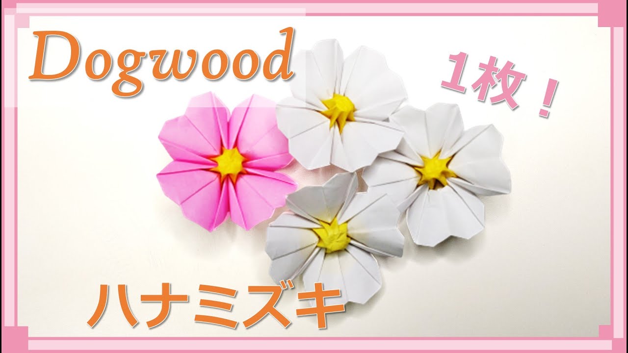 【折り紙 花】１枚で折れる！「ハナミズキ」の折り方！ギフトにも！ / origami flower Dogwood tutorial