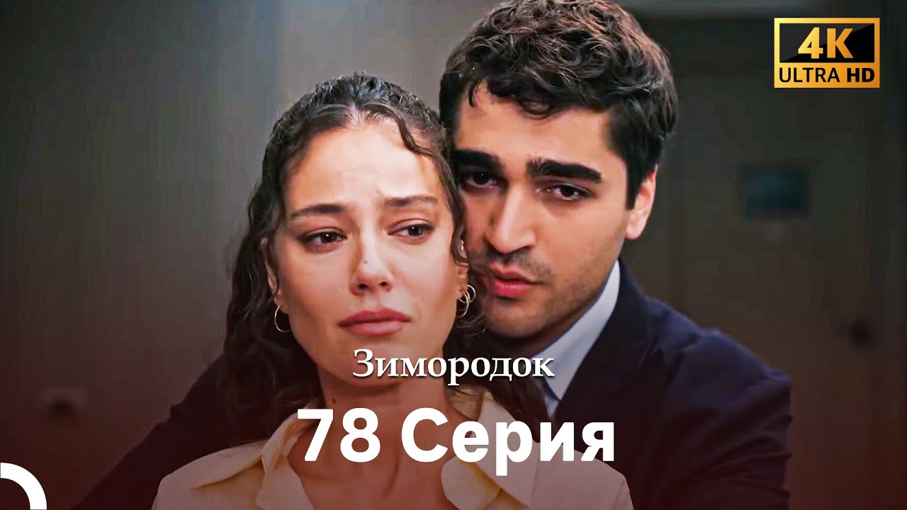 Зимородок 78 Cерия (Русский дубляж) (4K)