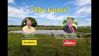 'The Gums' - 103 Canningvale Rd, Warwick QLD 4370