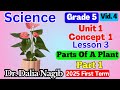 Science Grade 5 Unit 1 Concept 1 Lesson 3 Parts Of A Plant P 1 ساينس خامسة ابتدائى ترم اول 2025 