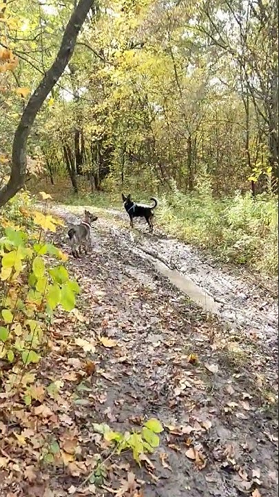 Счастье есть! И это - пробежаться по луже босиком!!! - YouTube