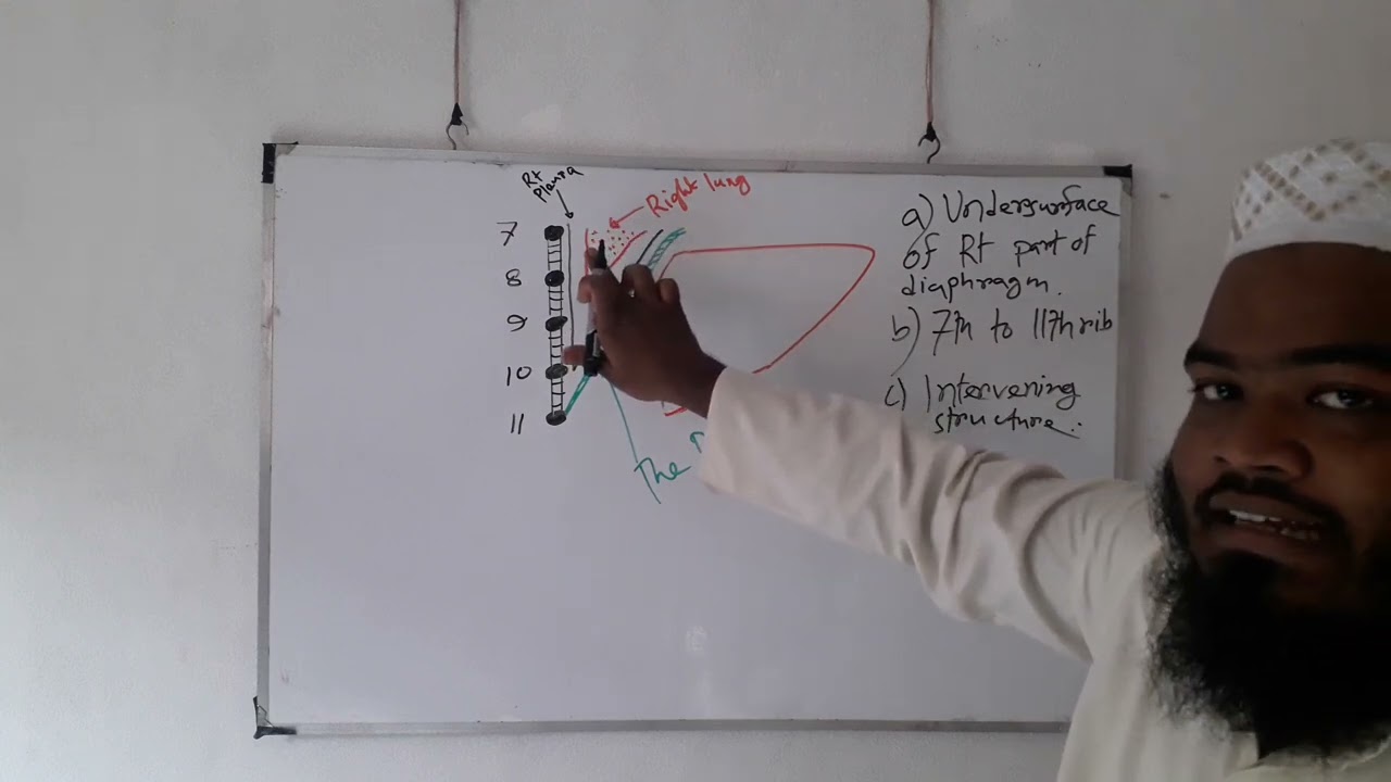 liver; right lateral surface