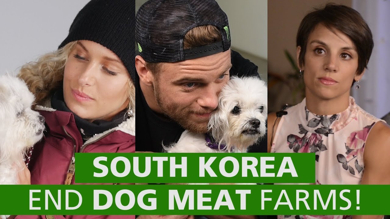 Olympians Speak up to End Dog Meat Farms!