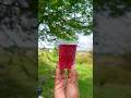 Survival Skills: SMART ideas and Useful in forest#survival #useful #ideas #smart #shorts#camping