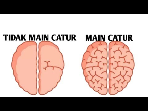 Video: Mengapa Catur Bermanfaat?