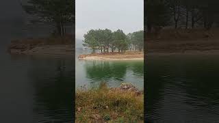 Abelleira #galicia #abelleira