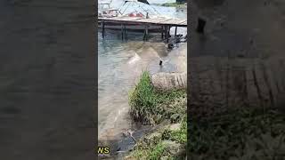 Rusinga island Kenya 🏝️