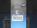 Kh&ocirc;ng c&oacute; camera ghi lại chắc kh&ocirc;ng ai tin được con m&egrave;o bắt m&aacute;y #vutru365 #giaitri #haihuoc #thucung