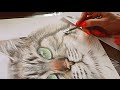 Процесс рисования кота | to draw a cat | как нарисовать кота