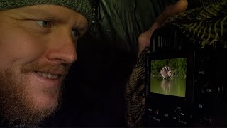 Bird Photography from New Tragopan Photo Hide 🤫 | British Wildlife