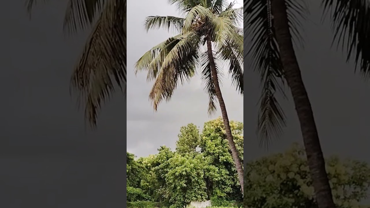 semma climate☁☁🌧🌧