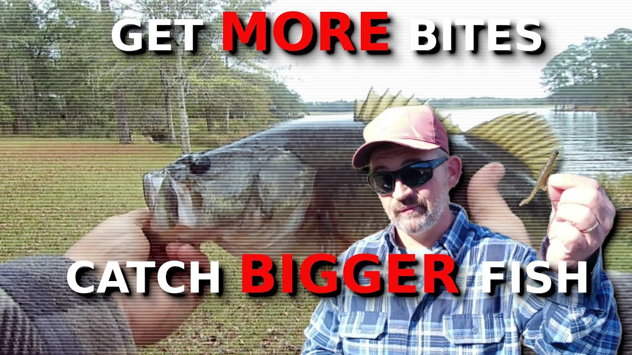 The EASY Way To CHEAT AT Winter Bank Fishing!!!!