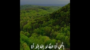 القران الكريم 194