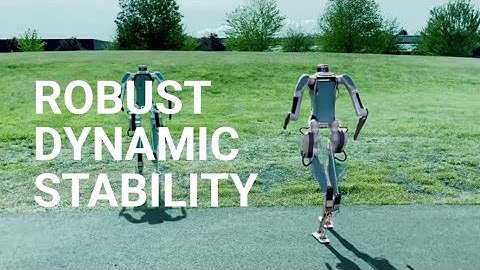 Navigating the unexpected with robust dynamic stability