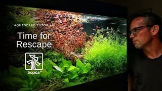 How to Re-Scape and Maintain a Planted Tank
