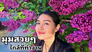 มุมสวยๆใกล้ที่ทำงาน เดินทางไกลมาทำงานในเมืองหลวงนอร์เวย์ เพื่อสิ่งนี้😁มาทำงานยังไง ฟิลเหมือนมาเที่ยว