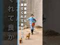 【市川市動植物園パンチ君】猿山で響き渡るパンチ君の叫び声‼︎#shorts