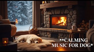 12 Hours of Deep Relaxation Music for Dogs : Help with Separation Anxiety & Deep Sleep 😴🐕 успокойся