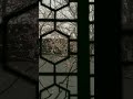 relaxing videos