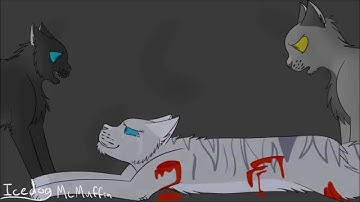 Burn It Down Warriors MAP Part 30