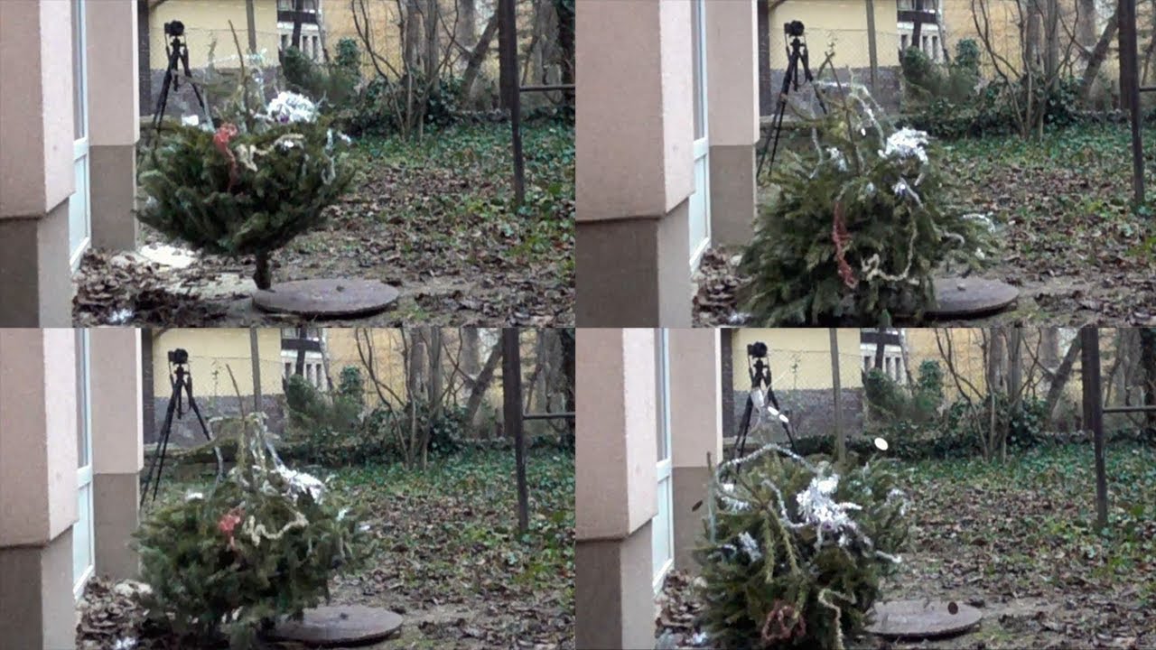 Throw down a christmas tree in slow motion YouTube