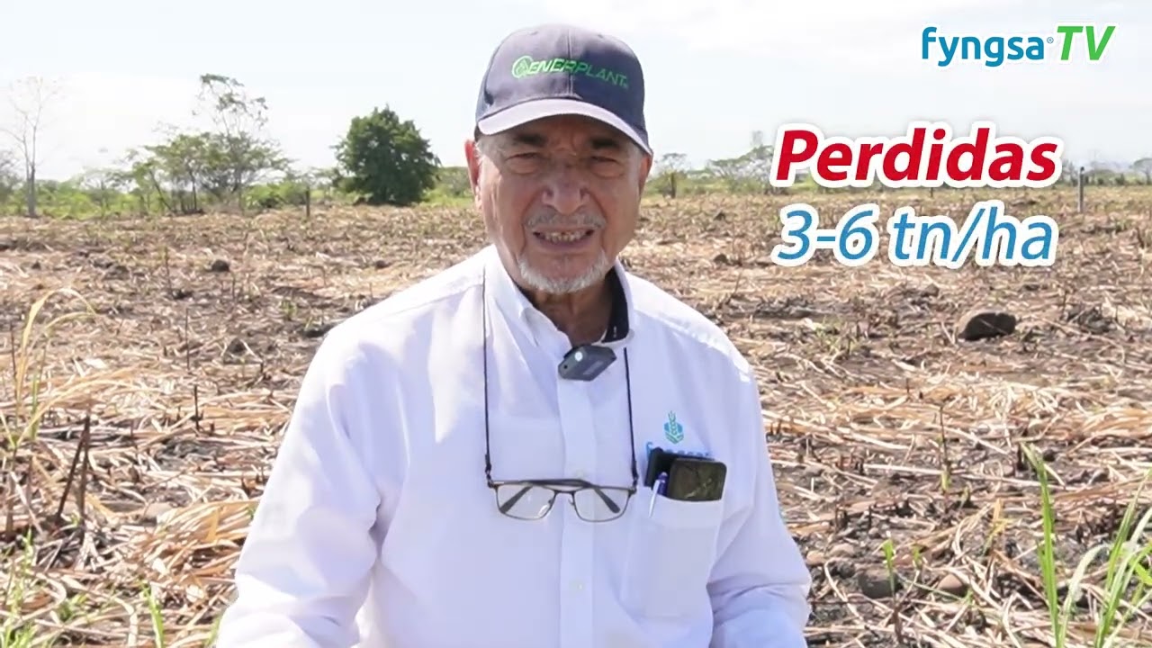 Problemas en tu parcela con el Gusano Barrenador y la Mosca Pinta